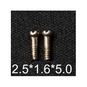 2.5*1.6*5.0 Slot type stainless steel screws for acetate temples or sunglasses temples
