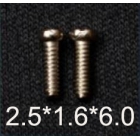 2.5*1.6*6.0 Slot type stainless steel screws for acetate temples or sunglasses temples