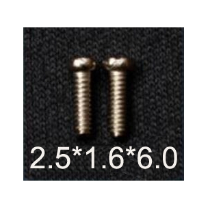 2.5*1.6*6.0 Slot type stainless steel screws for acetate temples or sunglasses temples